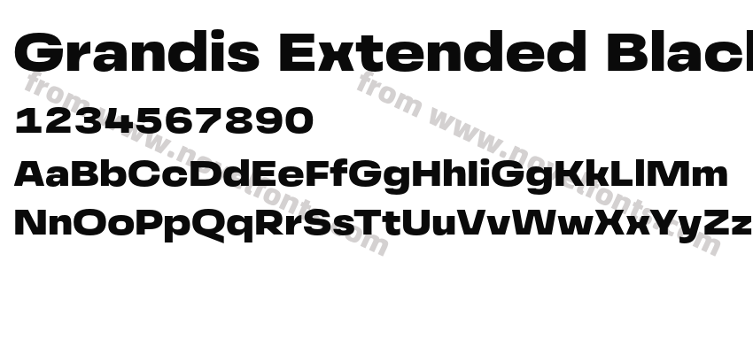Grandis Extended BlackPreview