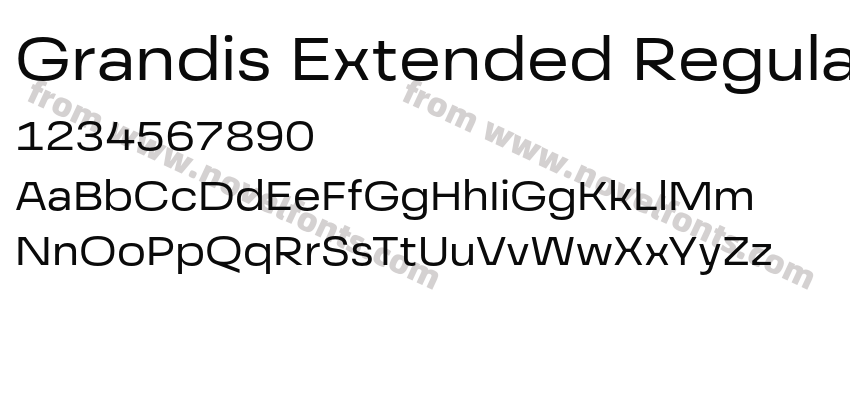 Grandis Extended RegularPreview