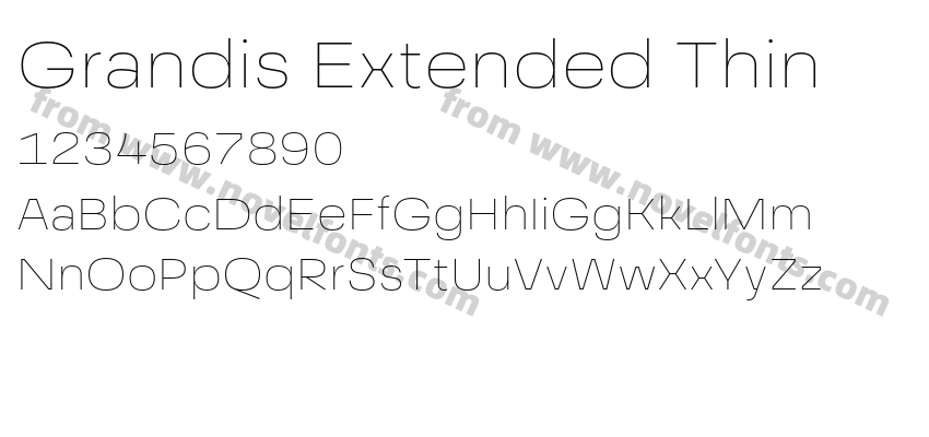 Grandis Extended ThinPreview