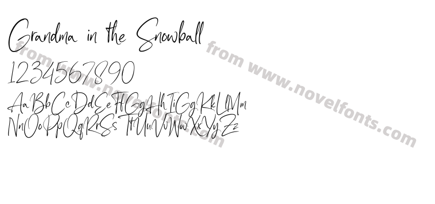 Grandma in the SnowballPreview
