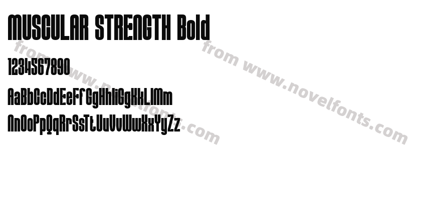 MUSCULAR STRENGTH BoldPreview