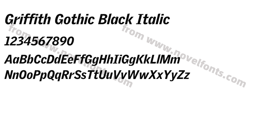 Griffith Gothic Black ItalicPreview