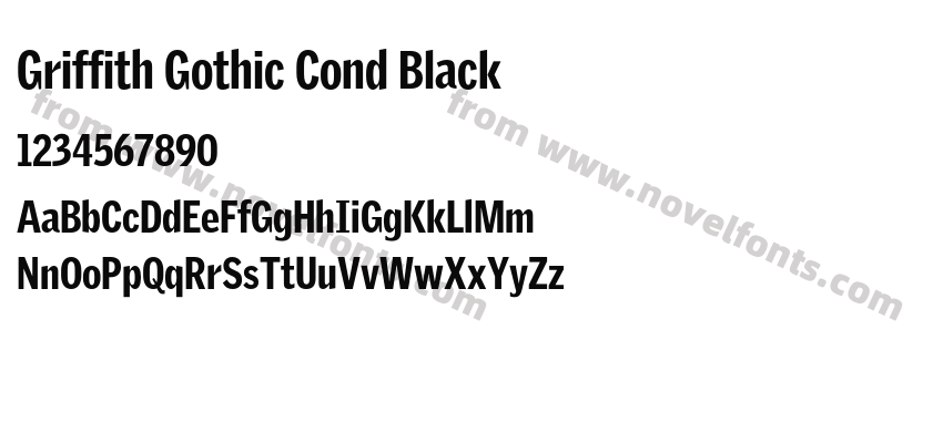 Griffith Gothic Cond BlackPreview