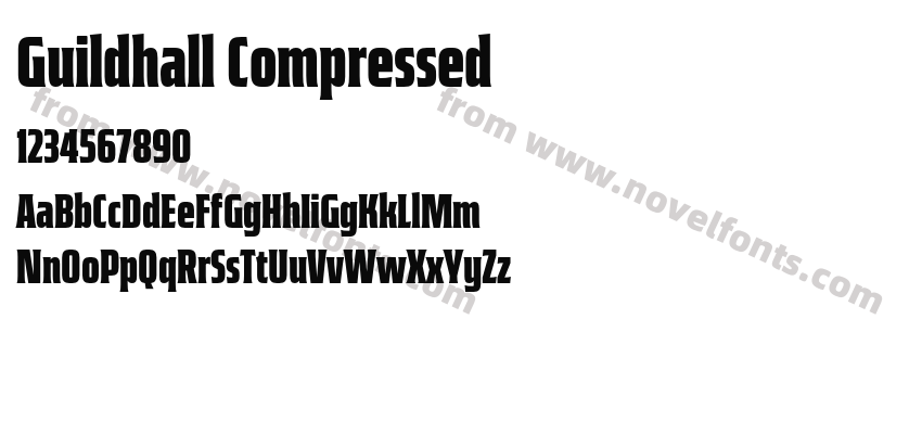 Guildhall CompressedPreview