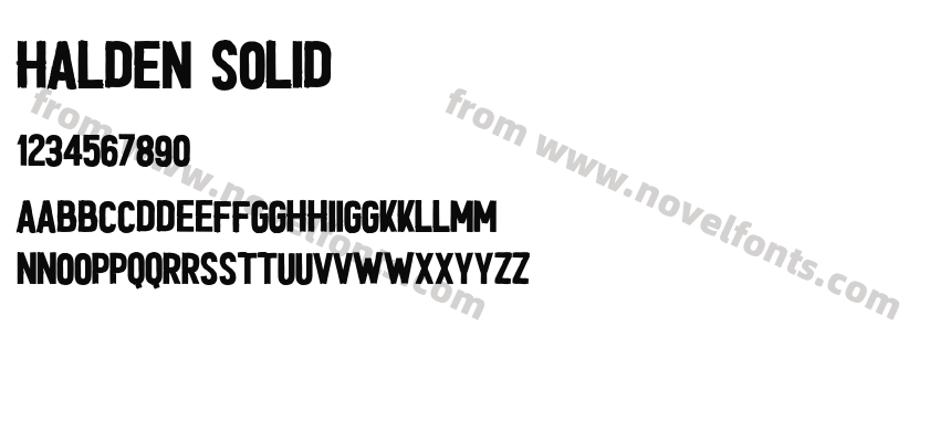 HALDEN SOLIDPreview