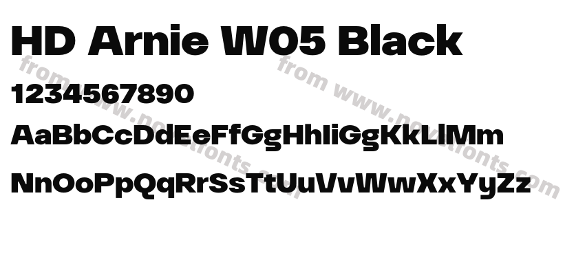 HD Arnie W05 BlackPreview