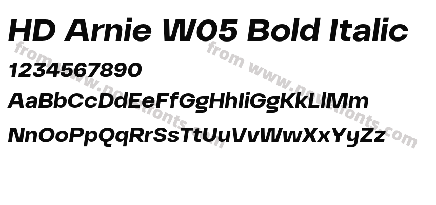 HD Arnie W05 Bold ItalicPreview
