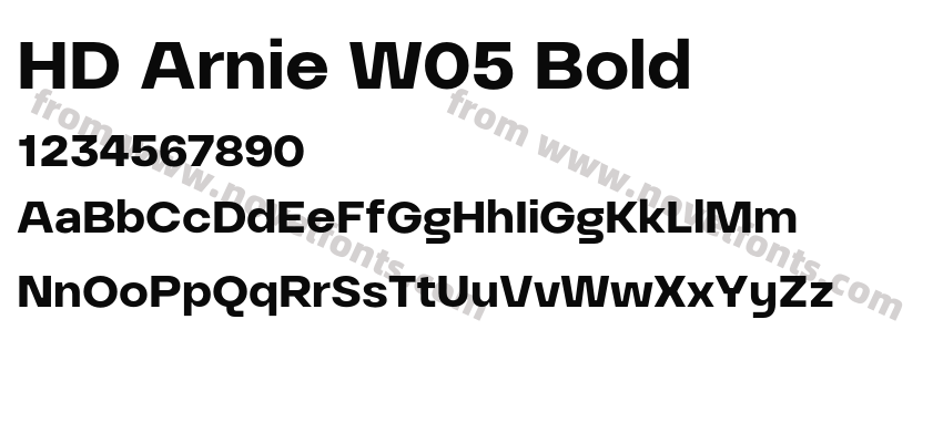 HD Arnie W05 BoldPreview