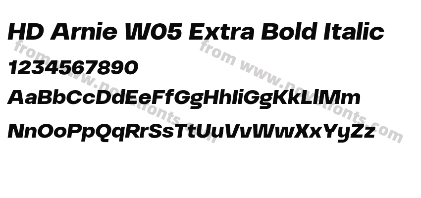 HD Arnie W05 Extra Bold ItalicPreview