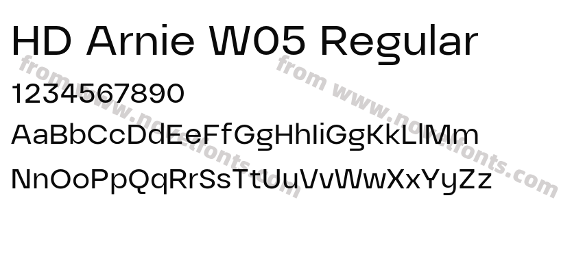 HD Arnie W05 RegularPreview