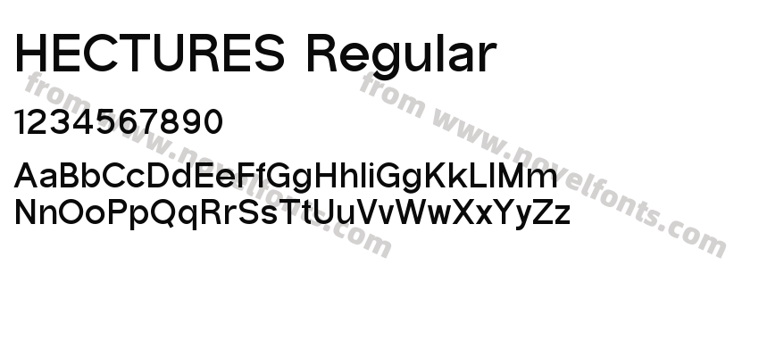 HECTURES RegularPreview
