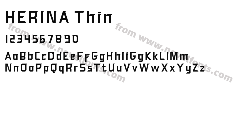 HERINA ThinPreview