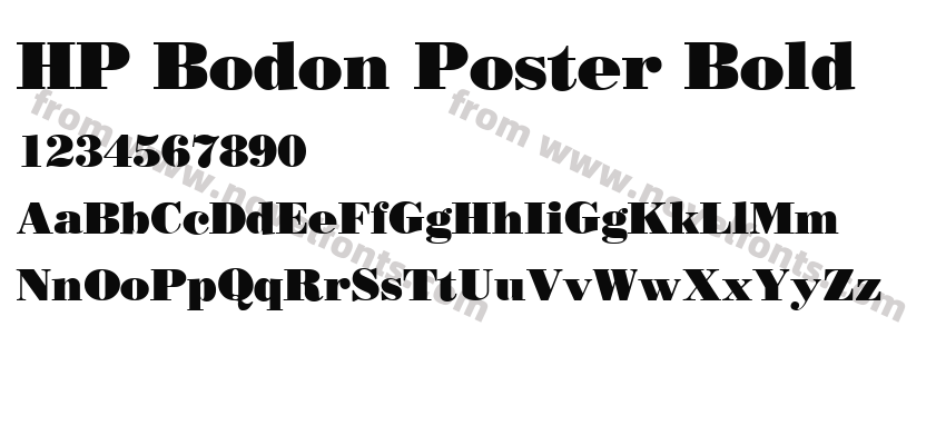 HP Bodon Poster BoldPreview