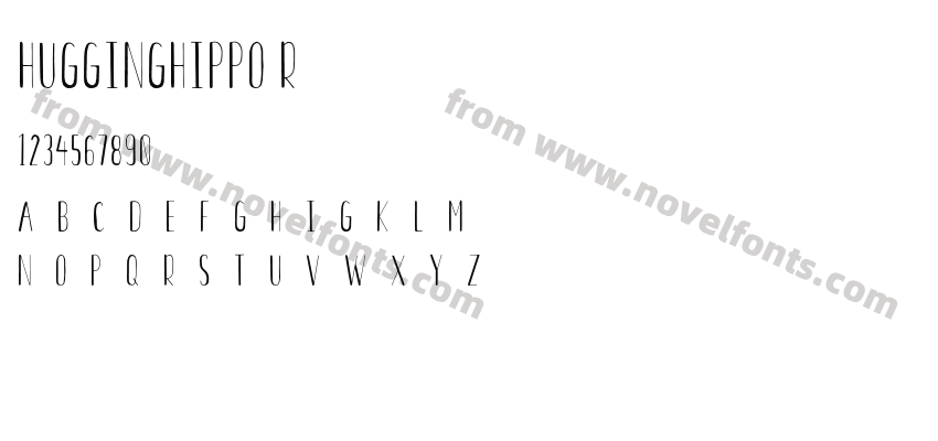 HUGGINGHIPPO RegularPreview