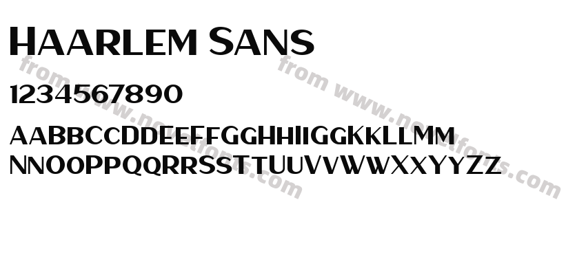 Haarlem SansPreview