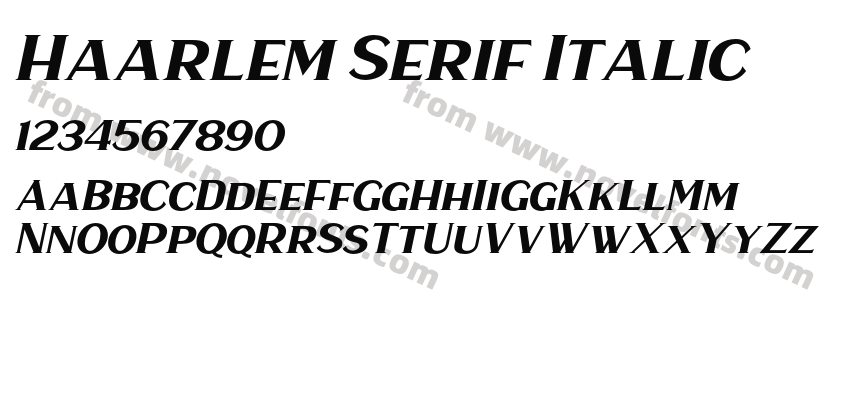 Haarlem Serif ItalicPreview