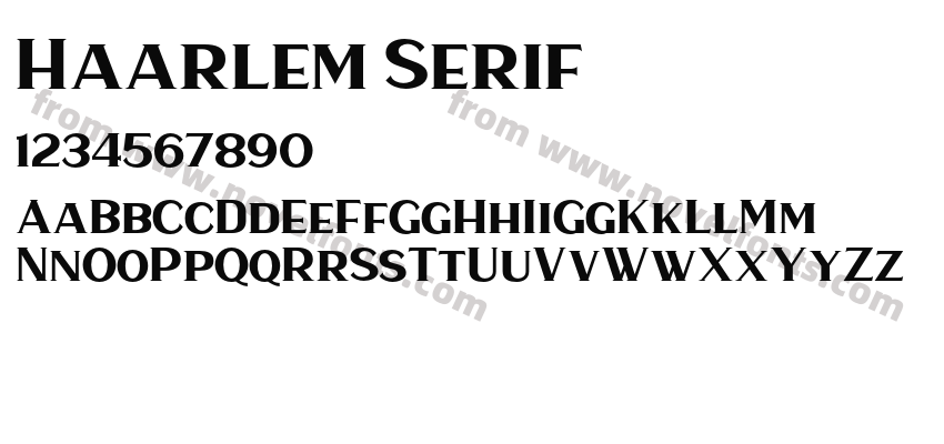Haarlem SerifPreview