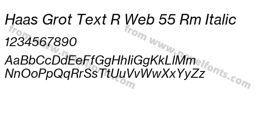 Haas Grot Text R Web 55 Rm ItalicPreview