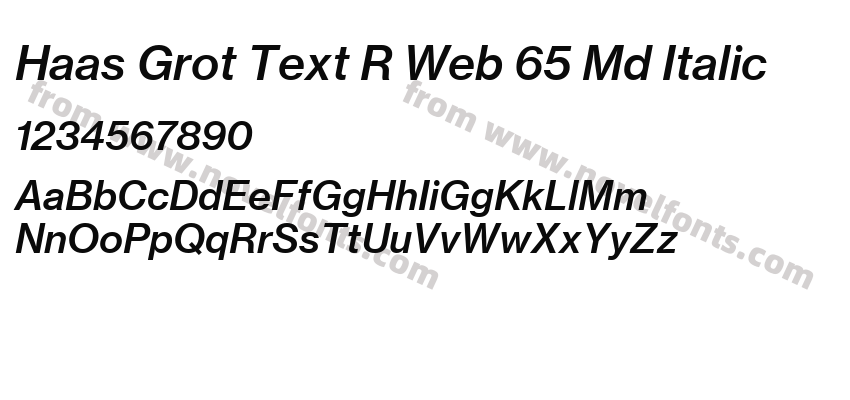 Haas Grot Text R Web 65 Md ItalicPreview