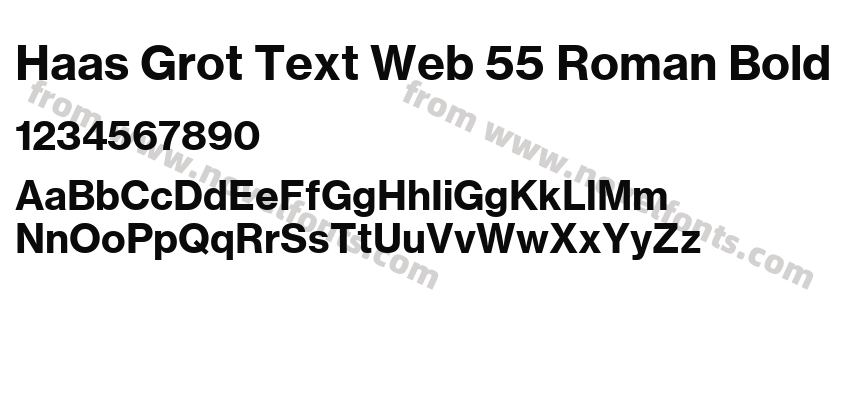 Haas Grot Text Web 55 Roman BoldPreview