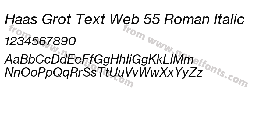 Haas Grot Text Web 55 Roman ItalicPreview