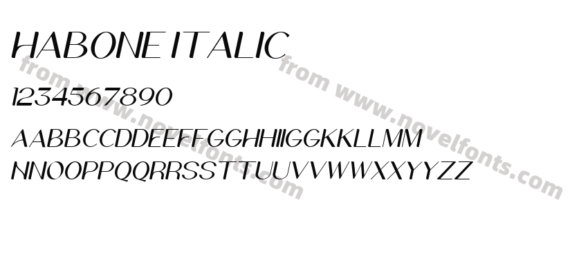 Habone ItalicPreview