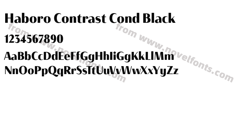 Haboro Contrast Cond BlackPreview