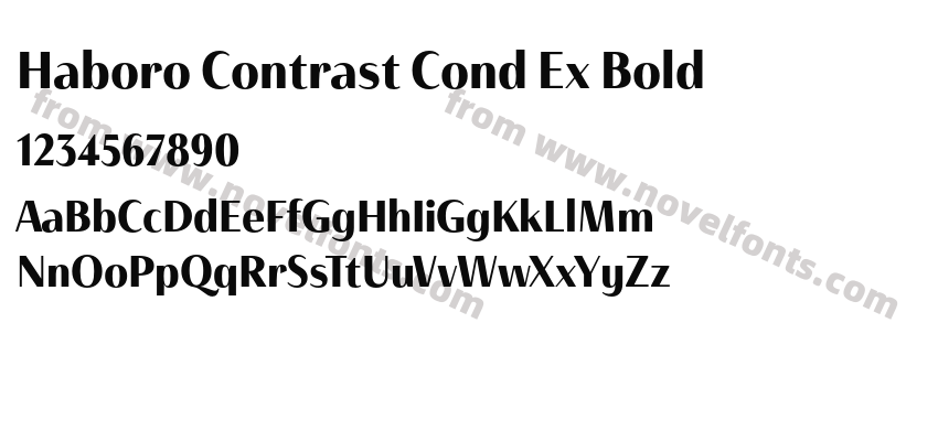 Haboro Contrast Cond Ex BoldPreview