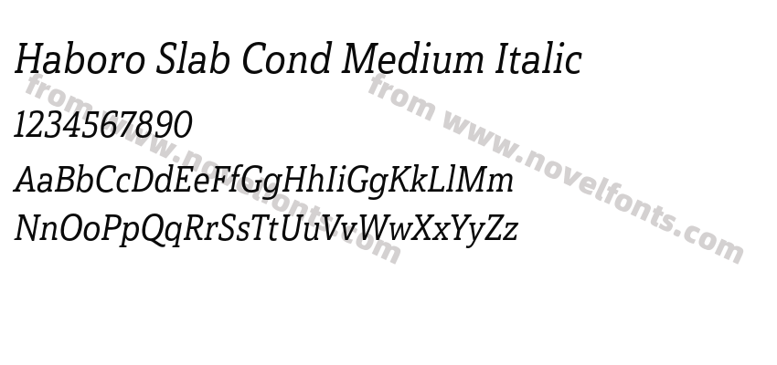 Haboro Slab Cond Medium ItalicPreview