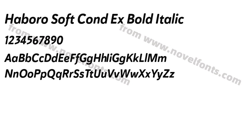 Haboro Soft Cond Ex Bold ItalicPreview