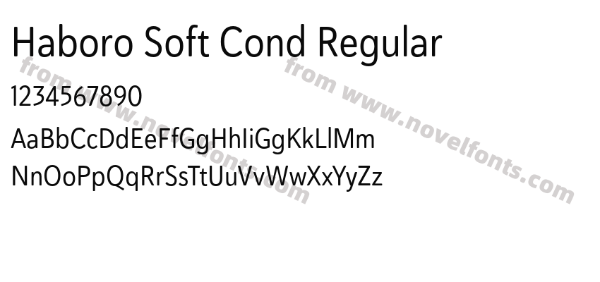 Haboro Soft Cond RegularPreview