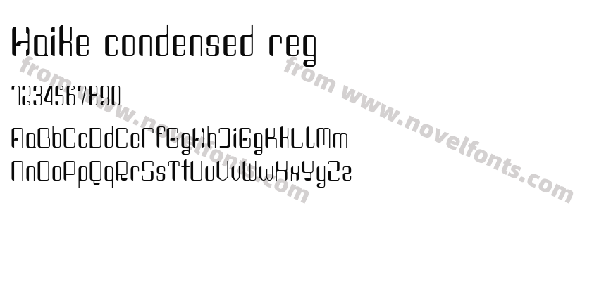 Haike condensed regPreview