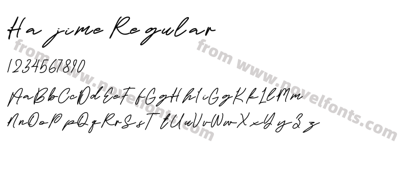 Hajime RegularPreview