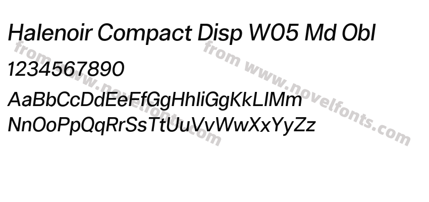 Halenoir Compact Disp W05 Md OblPreview
