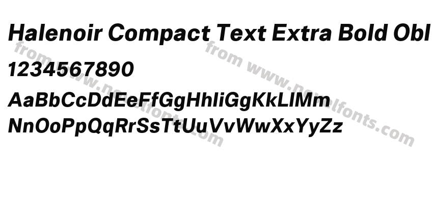 Halenoir Compact Text Extra Bold OblPreview