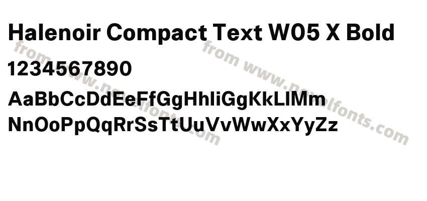 Halenoir Compact Text W05 X BoldPreview