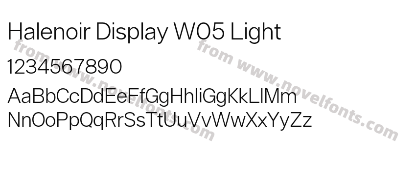 Halenoir Display W05 LightPreview