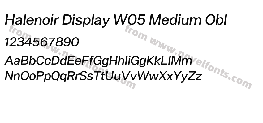 Halenoir Display W05 Medium OblPreview