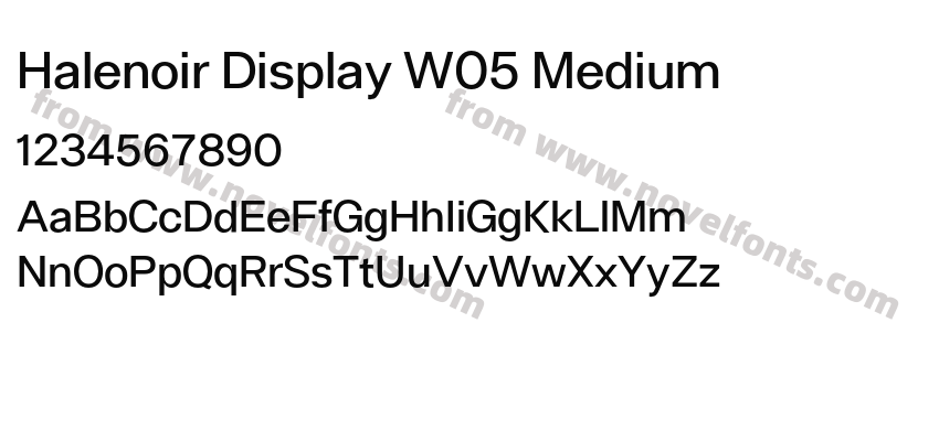Halenoir Display W05 MediumPreview