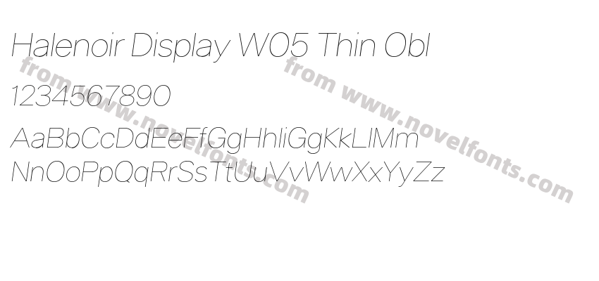 Halenoir Display W05 Thin OblPreview
