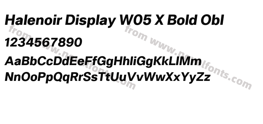 Halenoir Display W05 X Bold OblPreview
