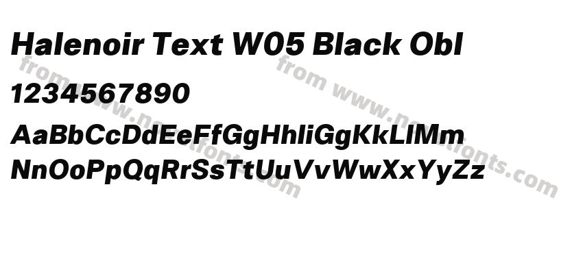 Halenoir Text W05 Black OblPreview