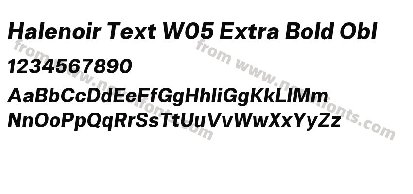 Halenoir Text W05 Extra Bold OblPreview