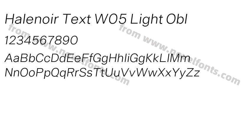 Halenoir Text W05 Light OblPreview