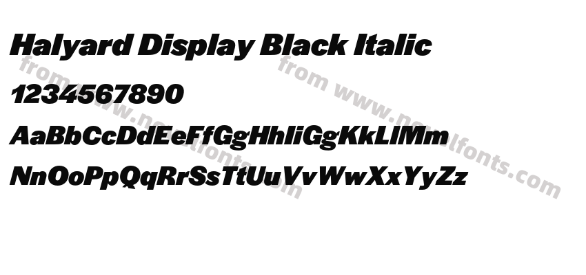 Halyard Display Black ItalicPreview