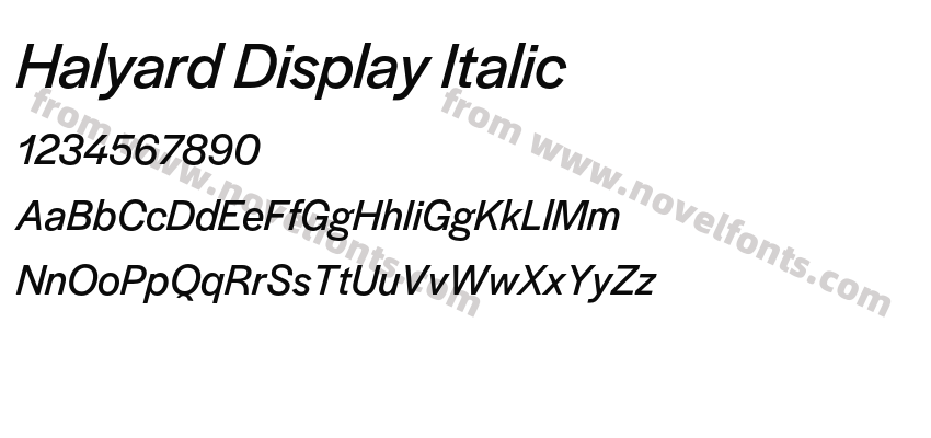Halyard Display ItalicPreview
