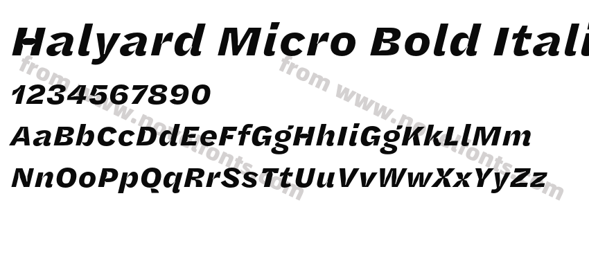 Halyard Micro Bold ItalicPreview