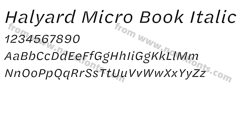 Halyard Micro Book ItalicPreview