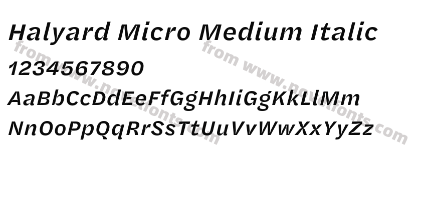 Halyard Micro Medium ItalicPreview