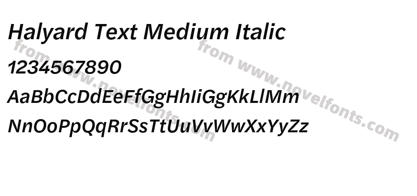 Halyard Text Medium ItalicPreview